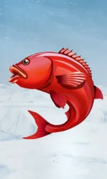 Ice Fishing